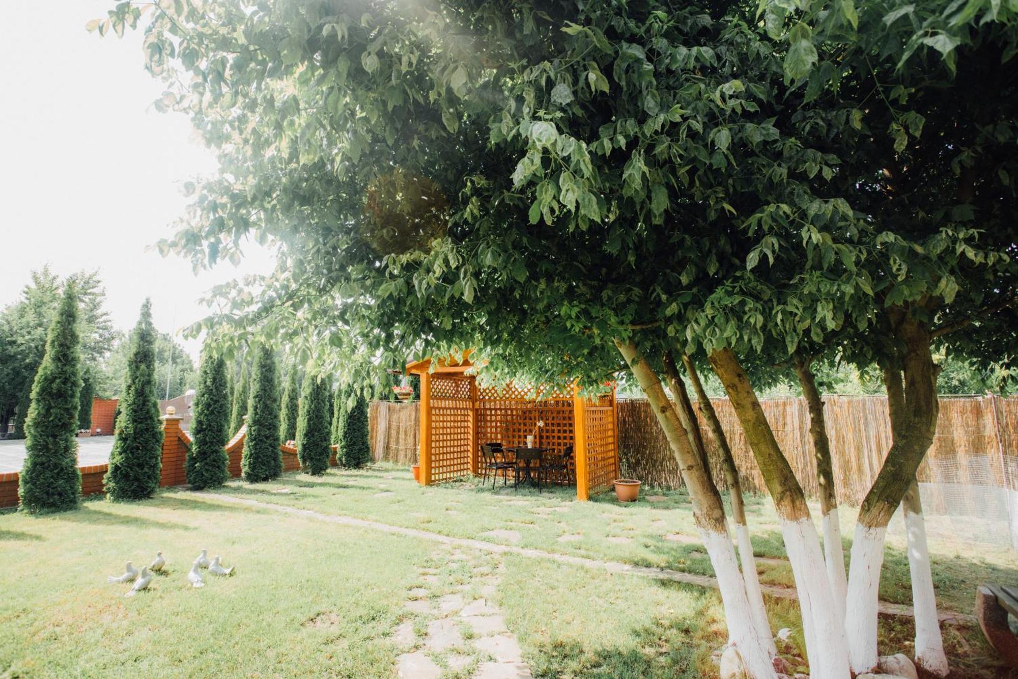 Villa Fenix Berehove  Exterior foto