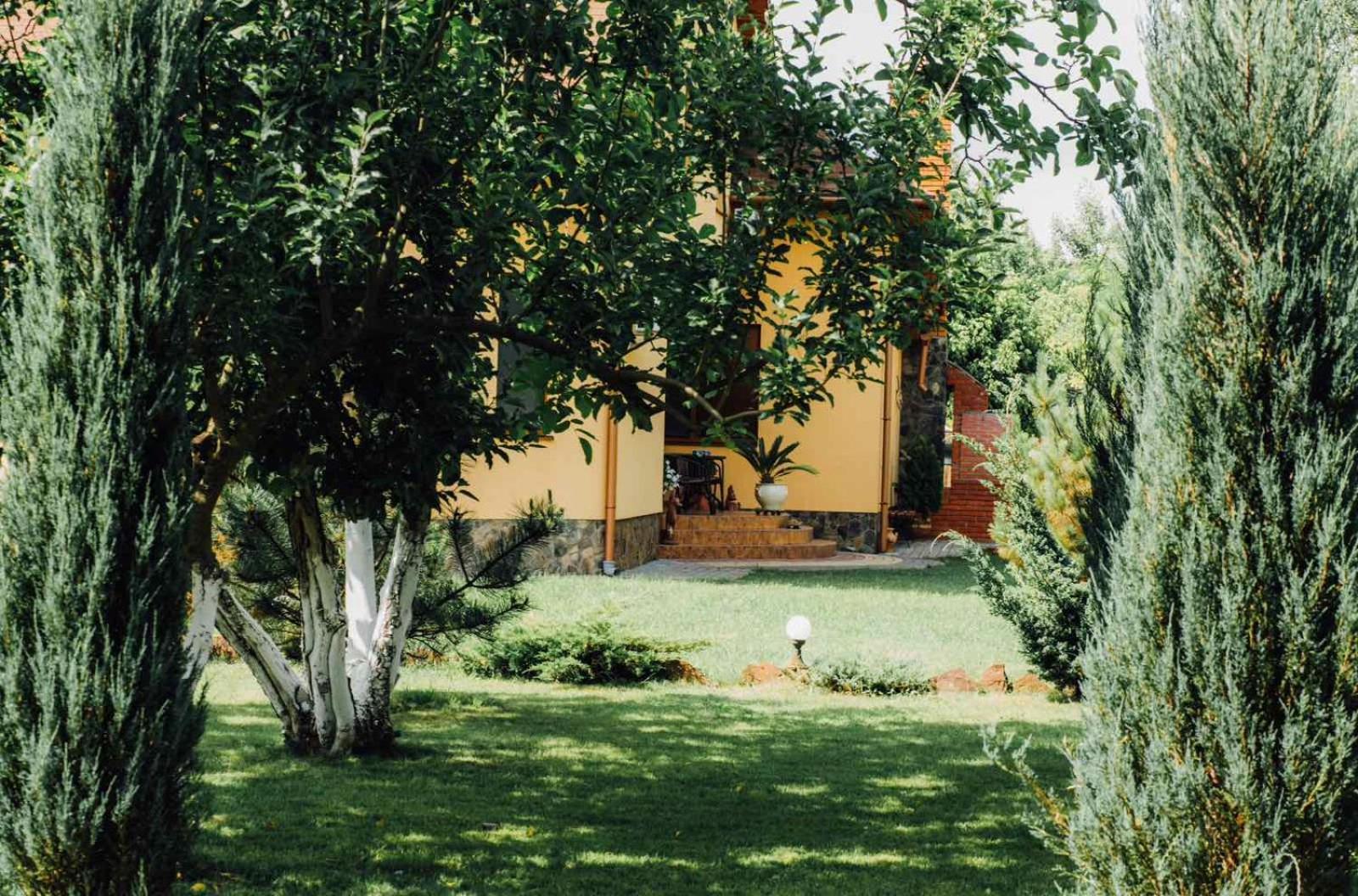 Villa Fenix Berehove  Exterior foto